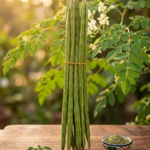 Sojne data (moringa )