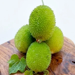 Kakrol (Spiny Gourd)