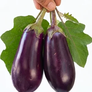 Kalo bagun