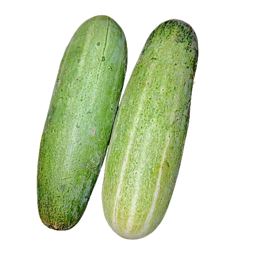 Deshi shosa( Cucumber) 1kg - Image 2