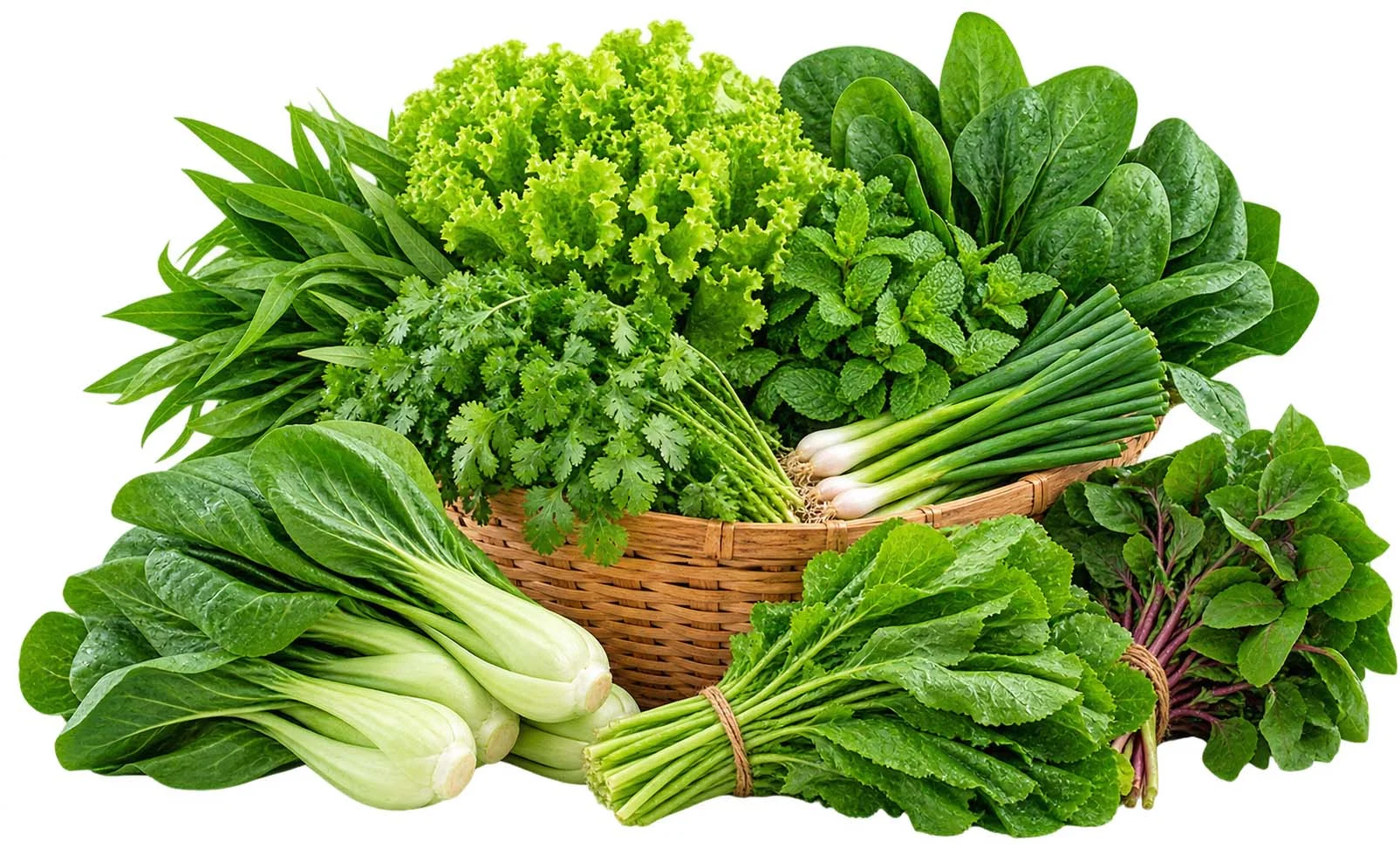 Green leafy