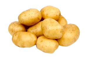 Himangini alo