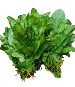 Palon sak