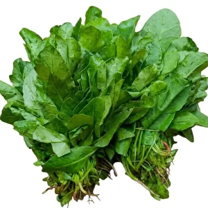 Palon sak