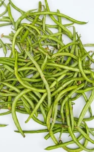 Bean