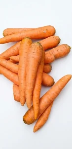Gajor