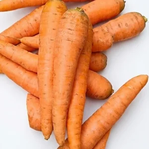 Gajor