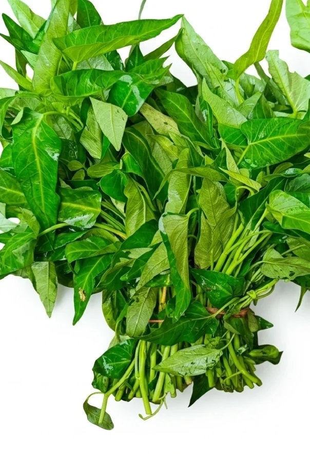 Kolmi sak