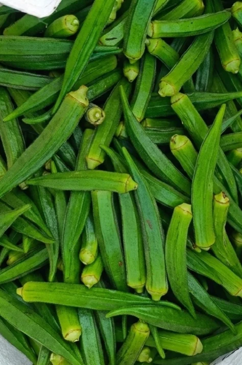 Vindi