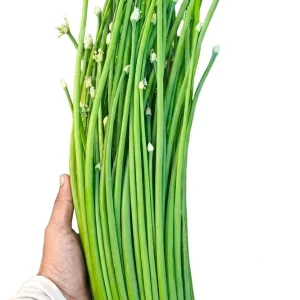 Piyaj koli