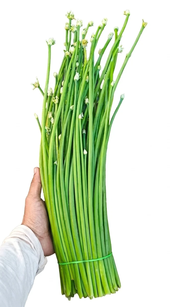 Piyaj koli